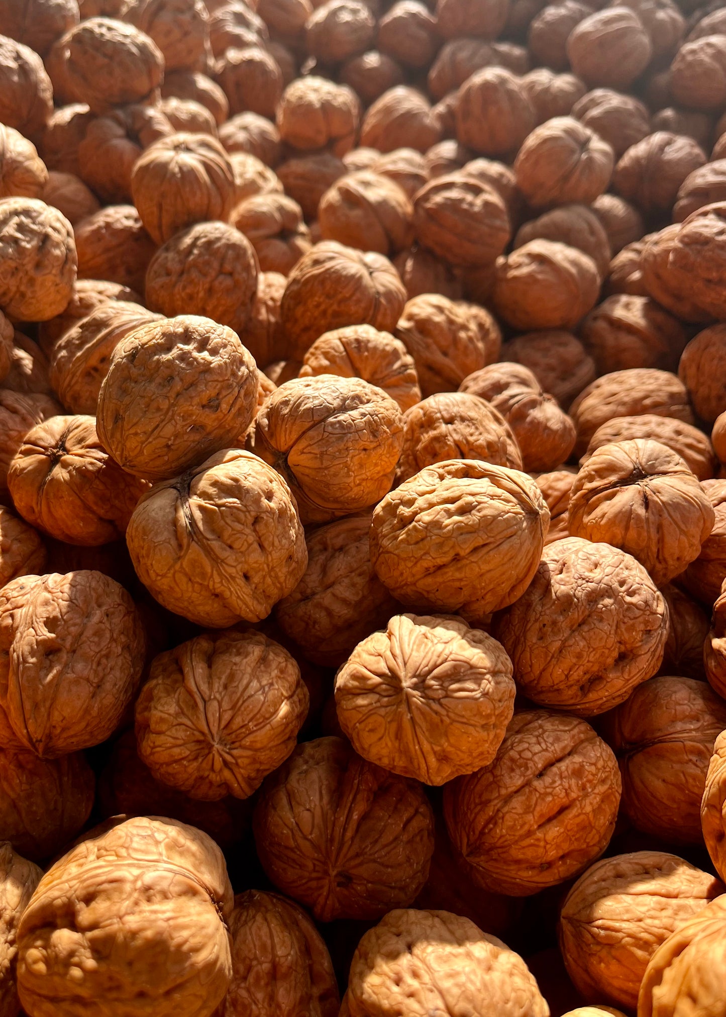 Walnüsse aus Deutschland in Schale