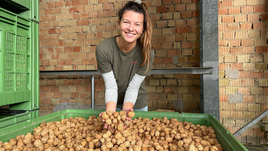 SWR gleich mehrfach zu Besuch - that's nuts