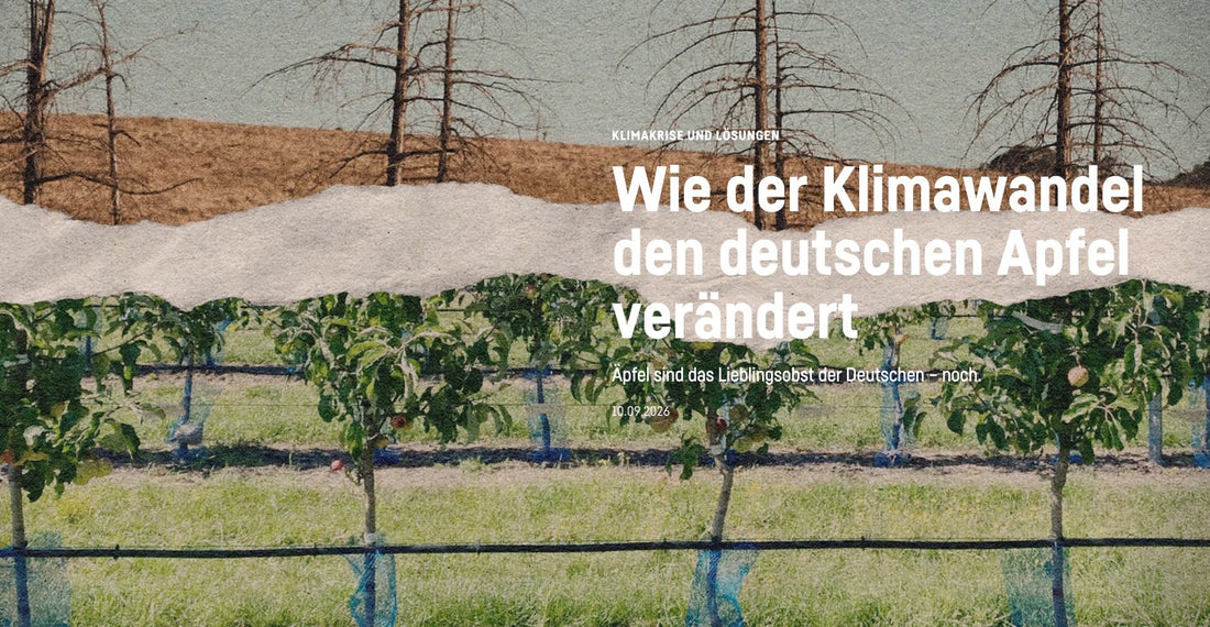 Krautreporter: Klimawandel zwingt Bauern zum Umdenken