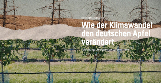 Krautreporter: Klimawandel zwingt Bauern zum Umdenken