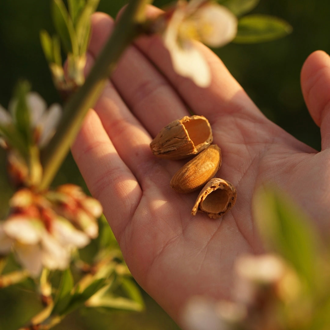 Herbst Nussletter 10/24 - that's nuts