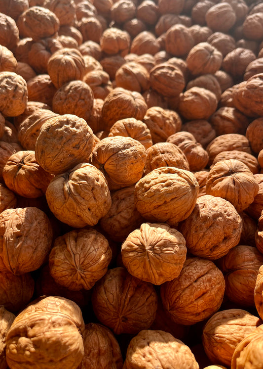 Walnüsse aus Deutschland in Schale