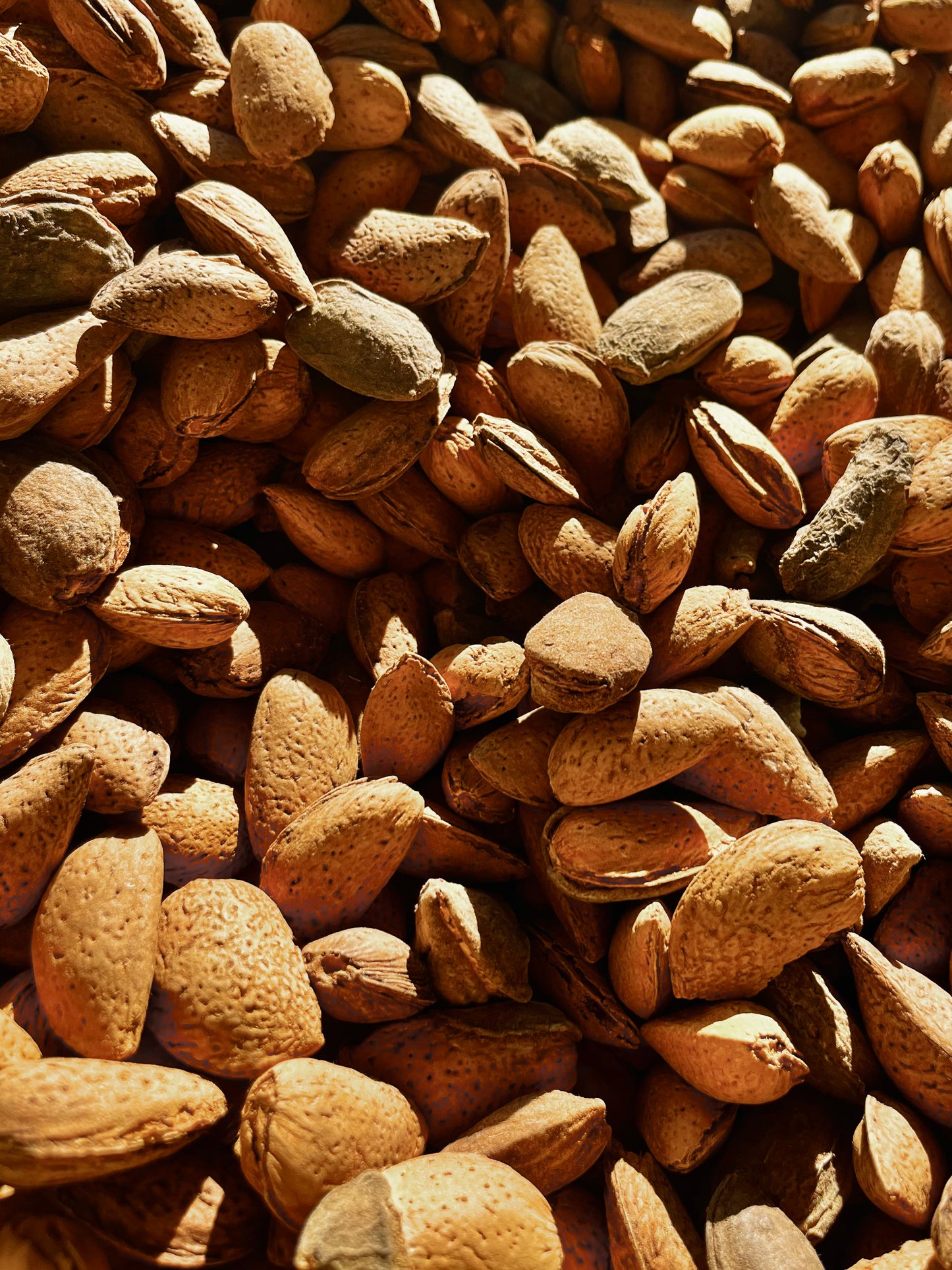 Mandeln aus Deutschland in Schale