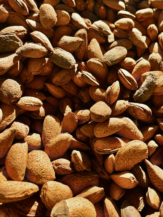 Mandeln aus Deutschland in Schale